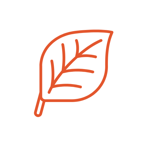 leaf org.webp